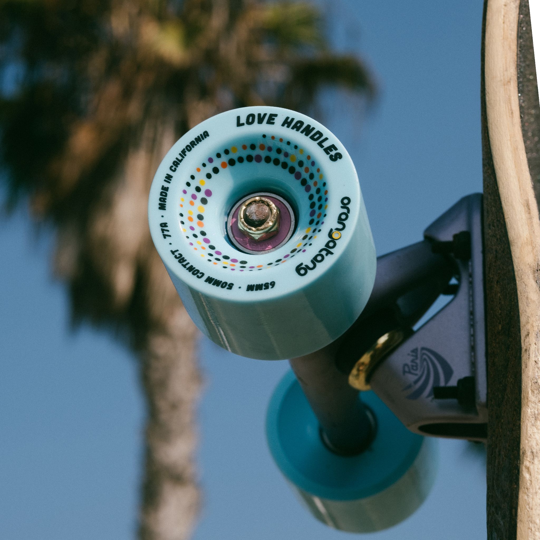 Light blue Orangatang Love Handles 65mm wheel with confetti-dot graphic mounted on a skateboard truck, palm tree in background